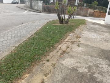 Jardineiro Luís Cruz Unipessoal lda - Ovar - Entfernung von Gebüsch- und Baumaufwuchs