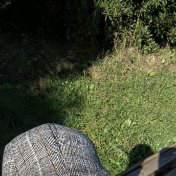 Nice walk - Lousada - Deutschunterricht