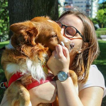 Ohanapetsitting - Seixal - Dog Walking