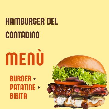 Traduz com Precisão - Amadora - Tradução de Hebraico