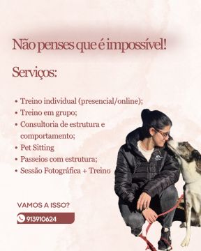 Eva Dog Coach - Aveiro - Hospedaje de perros