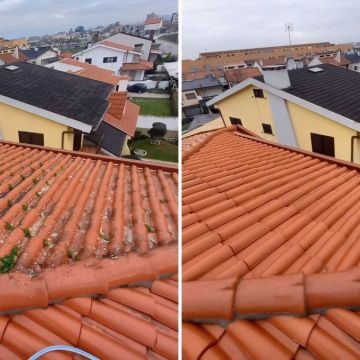 Soares - Leiria - Poda e Manutenção de Árvores