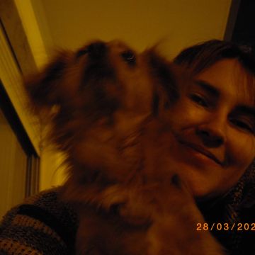 Daniela - Loures - Dog Walking