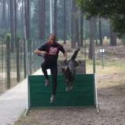 Ricardo - Vila Franca de Xira - Treino de Cães - Aulas