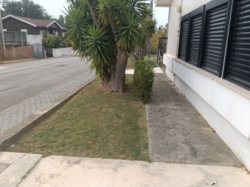 Jardineiro Luís Cruz Unipessoal lda - Ovar - Gartenarbeit