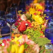 Vera Gaspar - Cascais - Florists