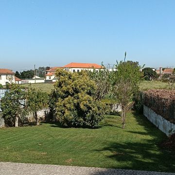 Jardineiro Luís Cruz - Ovar - Enlèvement de souches d’arbres