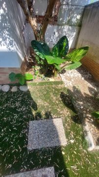 Mason - Home Improvements