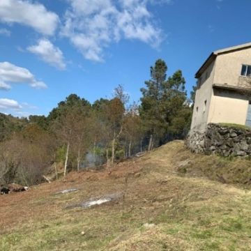 TerrenosLimpos - Águeda - Shrub Removal