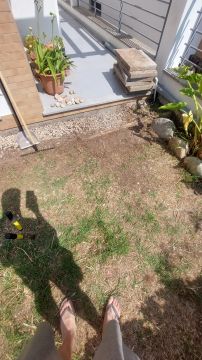 Lawn Care Professional - Home Improvements