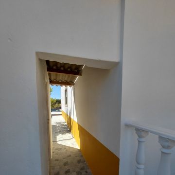 VIEIRA HOME FIX - Torres Novas - Trituración y eliminación de tocones