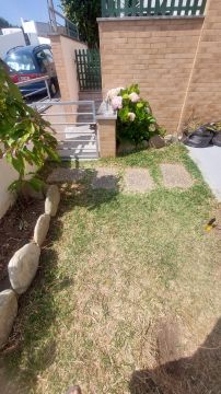 Lawncare