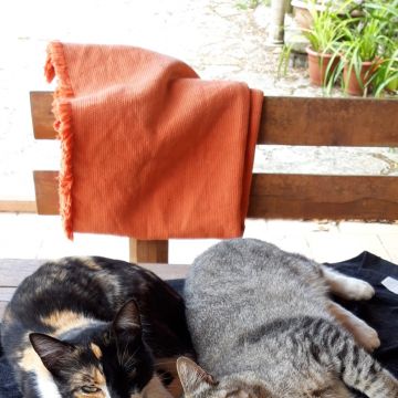 Daniela - Loures - Pet Sitting