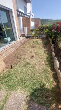 Multi Service Lawn Care