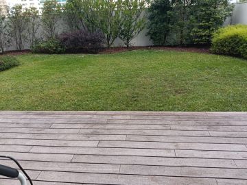 Jardineiro Luís Cruz Unipessoal lda - Ovar - Baumstumpf oder -wurzel wegfräsen und entfernen