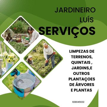 Jardineiro Luís Cruz Unipessoal lda - Ovar - Baumschnitt und Grundstückspflege