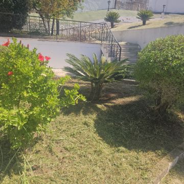 RM- Manutenções Gerais - Silves - Tratamento de Relvado