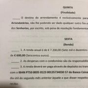Alex G.C - Vila Nova de Gaia - Cat Sitting
