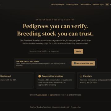 Rui Navarro · Marrow4 - Alenquer - Diseño web