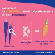 Cheila Almeida - Barreiro - Explicações de Biologia