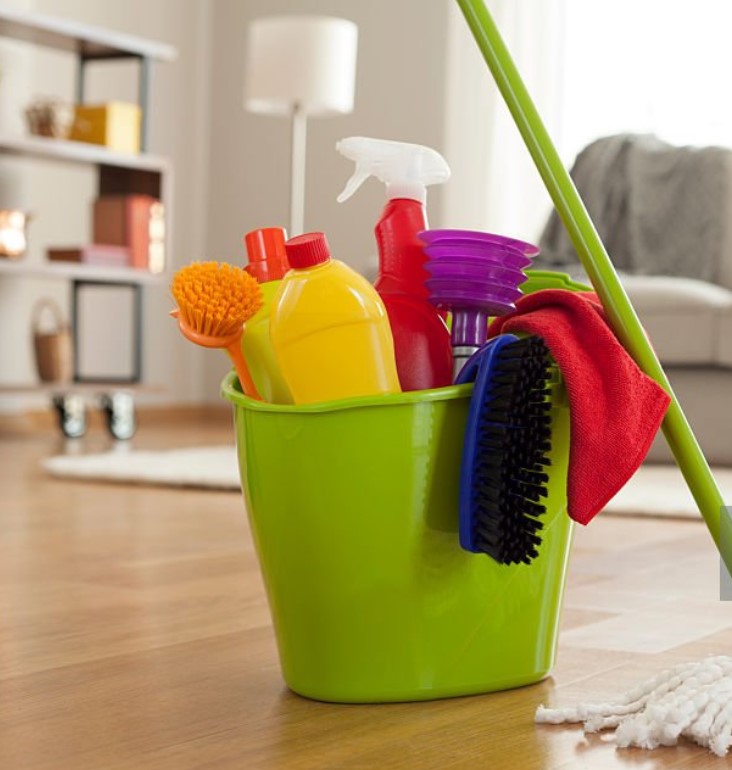 Simone keules - Torres Vedras - Domestic Services