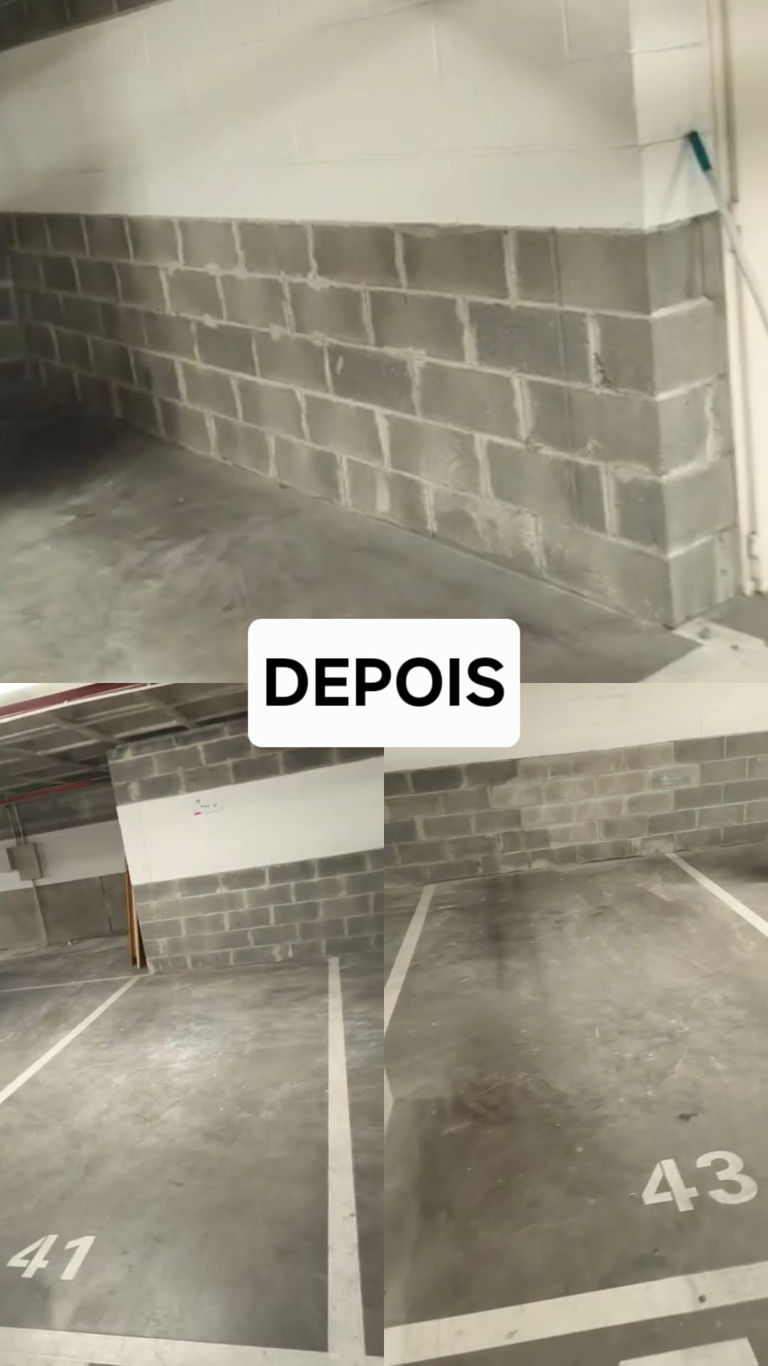 Especialista em Remoção de Lixo e Entulho