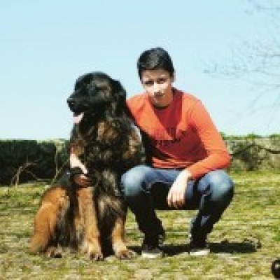 Diogo Cântara e Moura - Porto - Dog Walking
