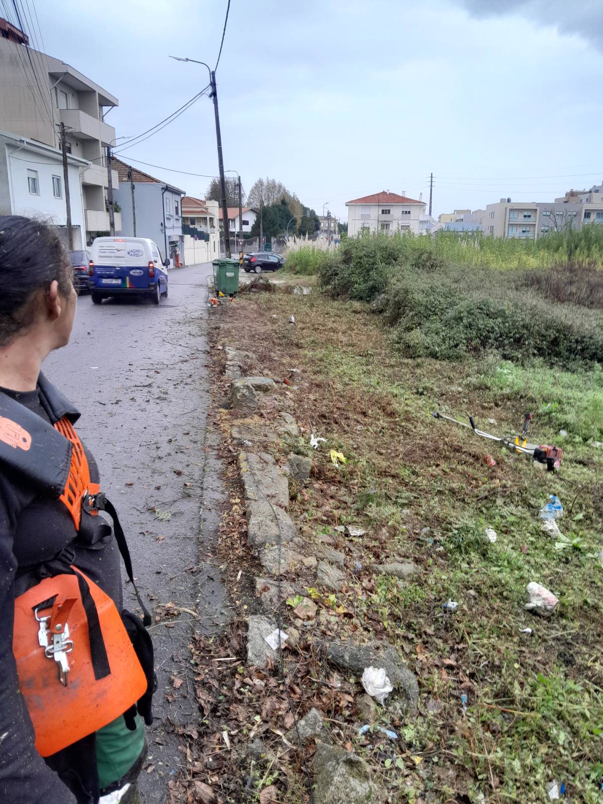 Tresa silva - Vila do Conde - Limpeza de Terrenos