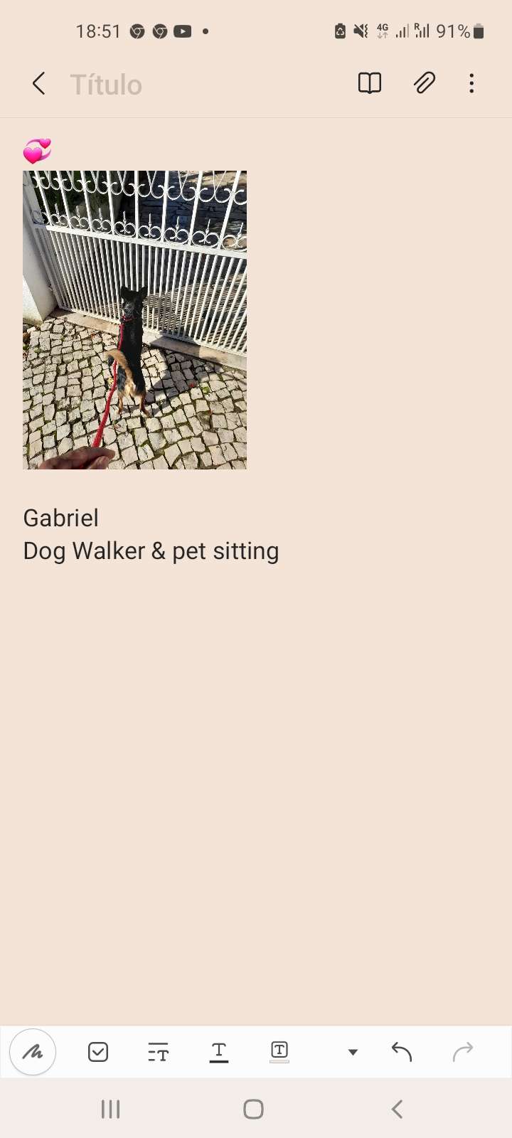 Gabriel - Cascais - Creche para Cães