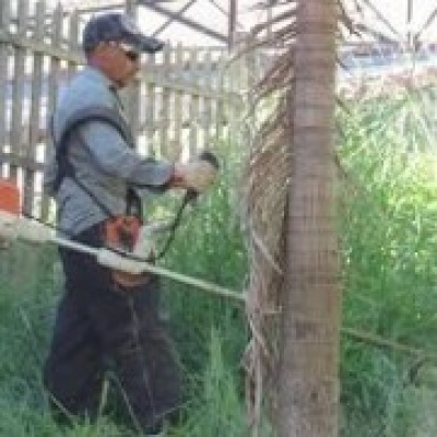 jorge valerio - Vendas Novas - Lawn Mowing and Trimming