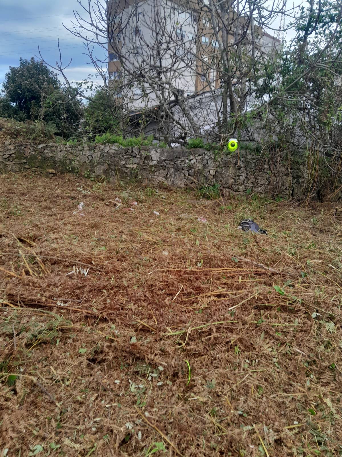 Tresa silva - Vila do Conde - Paisagismo
