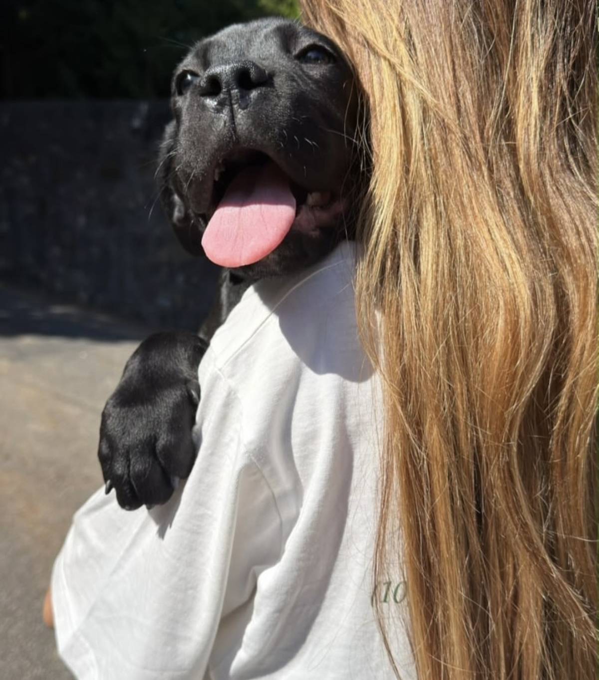 Talitapetcare - Vila Nova de Gaia - Katzensitter