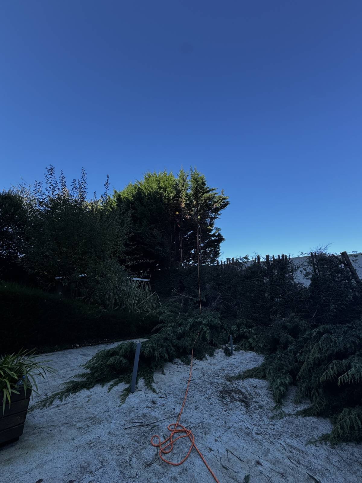 PaisagemUrbana - Gondomar - Tratamento de Relvado