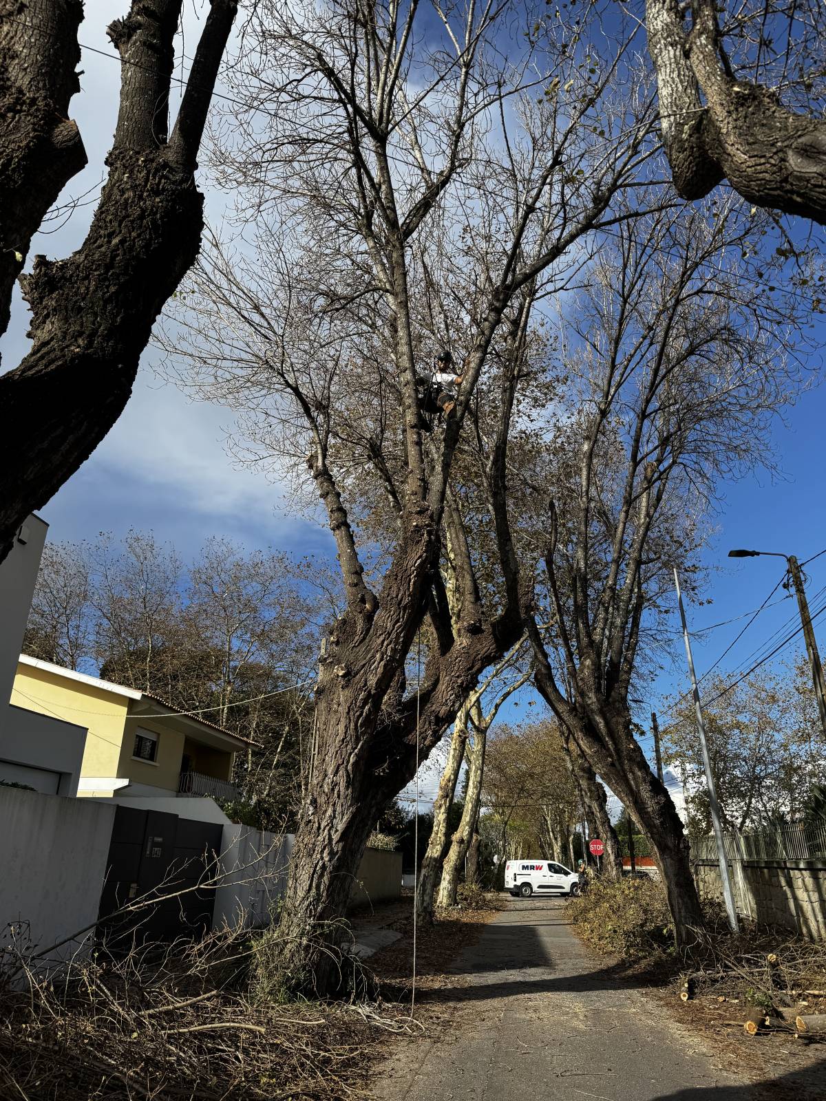 PaisagemUrbana - Gondomar - Remoção de Arbustos