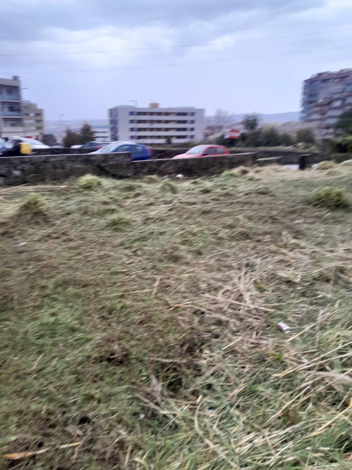 Tresa silva - Vila do Conde - Paisagismo