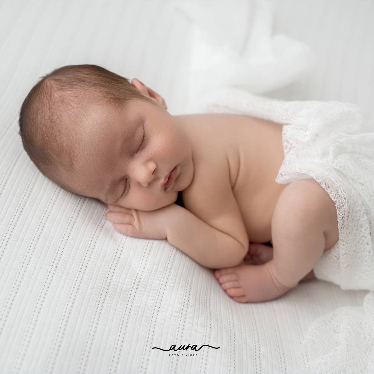 Aura - Foto e Vídeo - Vila Nova de Famalicão - Fotografía de mascotas