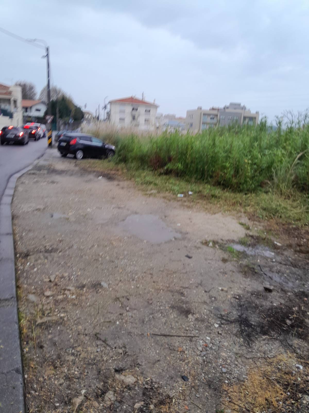 Tresa silva - Vila do Conde - Jardinagem e Relvados