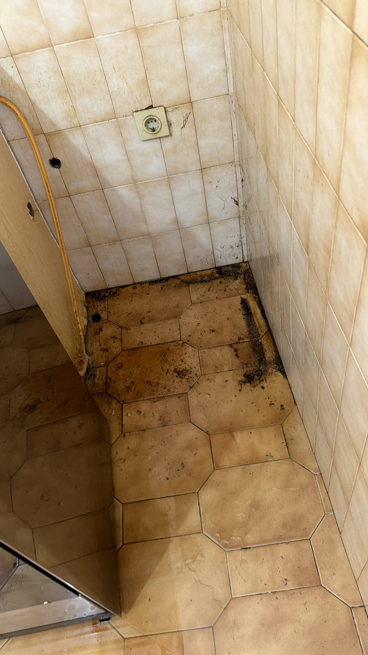 Brilho impecável - Oeiras - Nettoyage de tissus d’ameublement et de mobilier