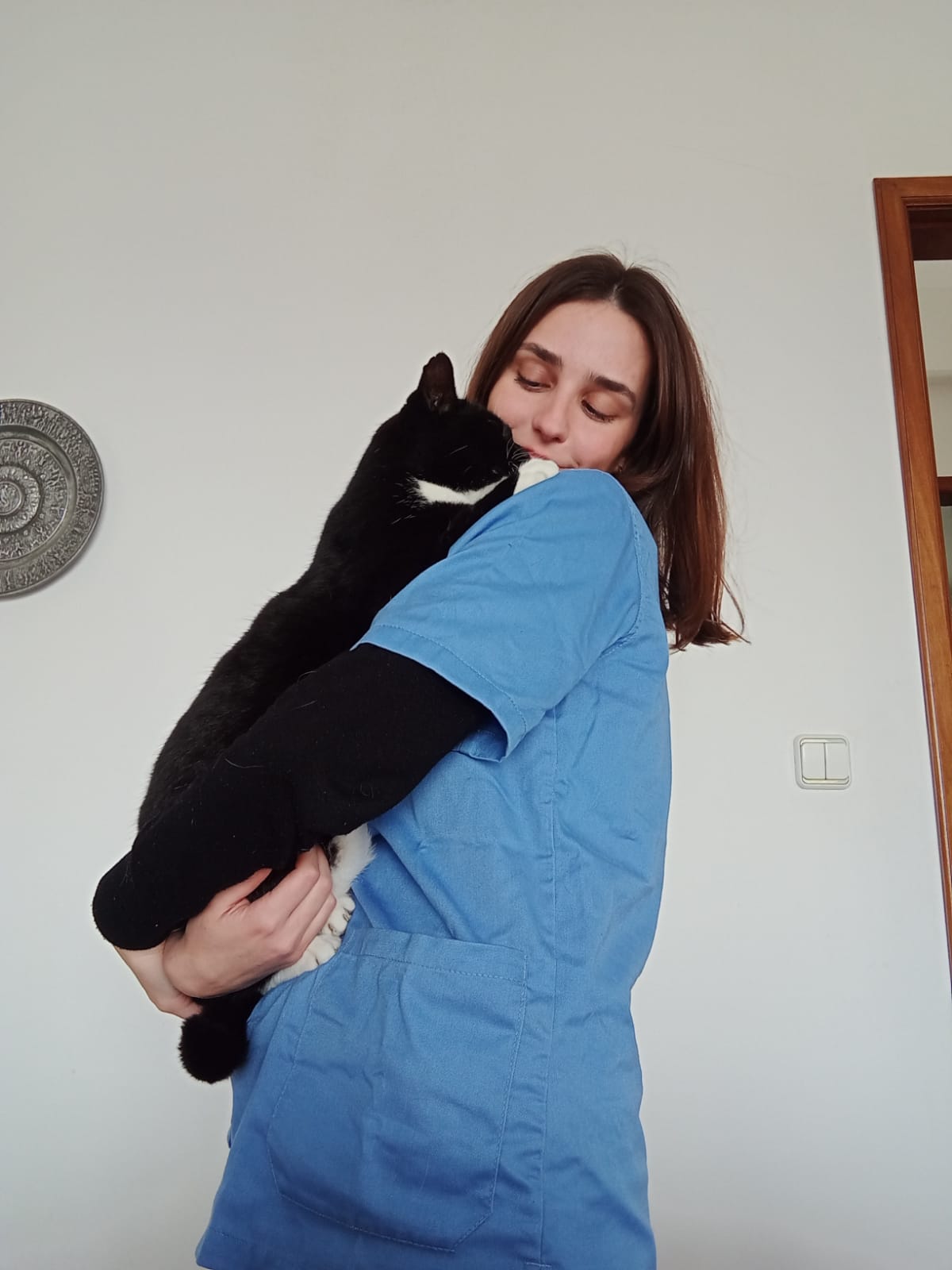Diana - Almada - Katzensitter