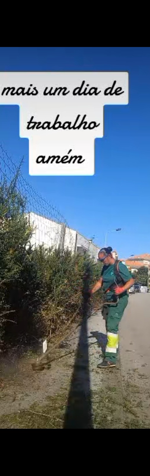 Tresa silva - Vila do Conde - Remoção de Tronco de Árvore