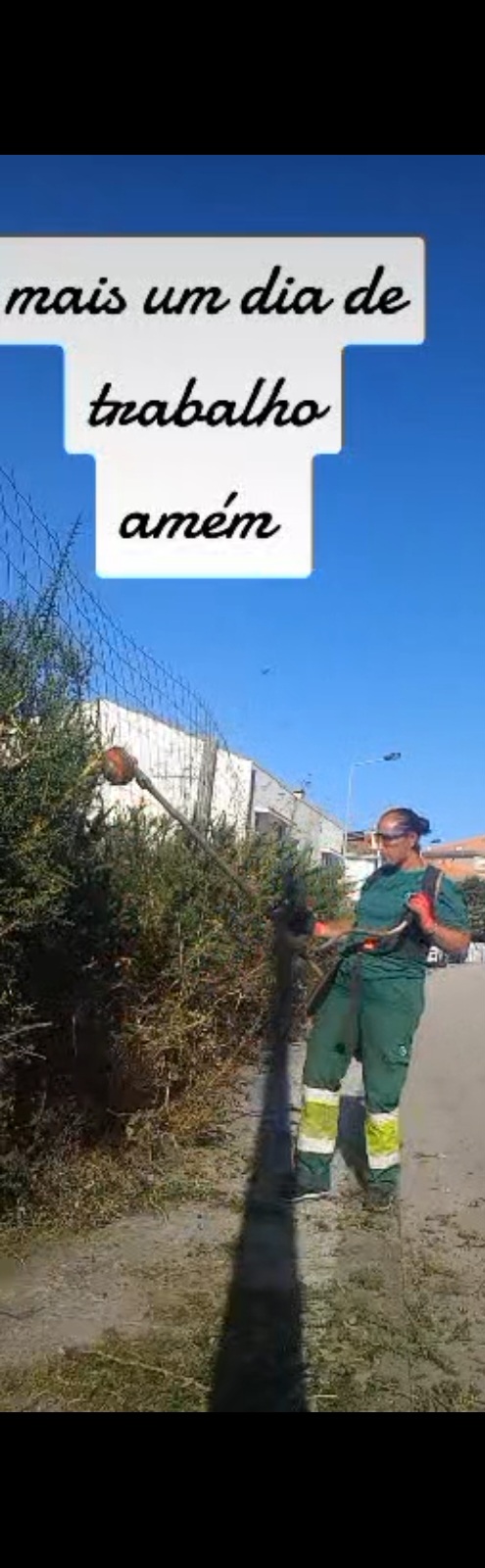 Tresa silva - Vila do Conde - Limpeza de Terrenos
