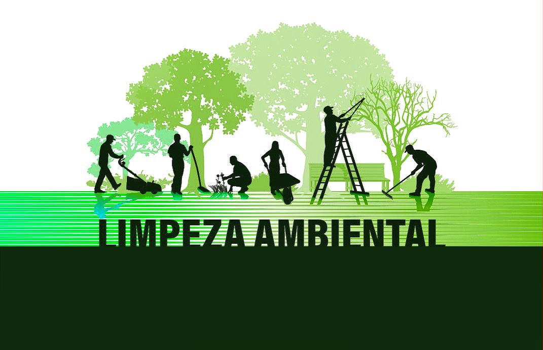 Limpeza ambiental 🪴 - Cascais - Poda e Manutenção de Árvores