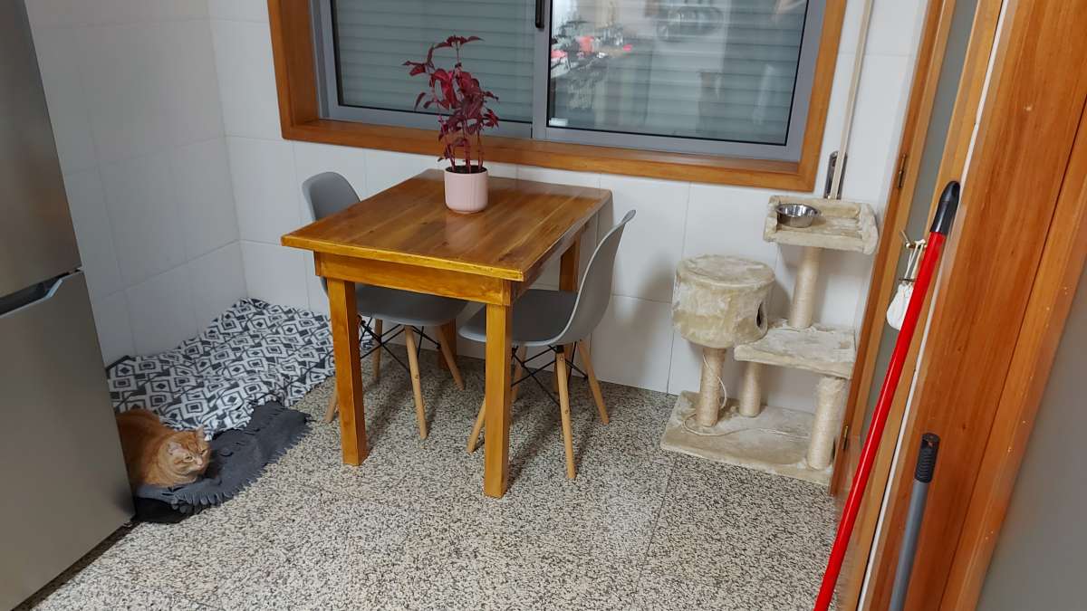 Pedro Vaz - Penafiel - Gutter Installation or Replacement