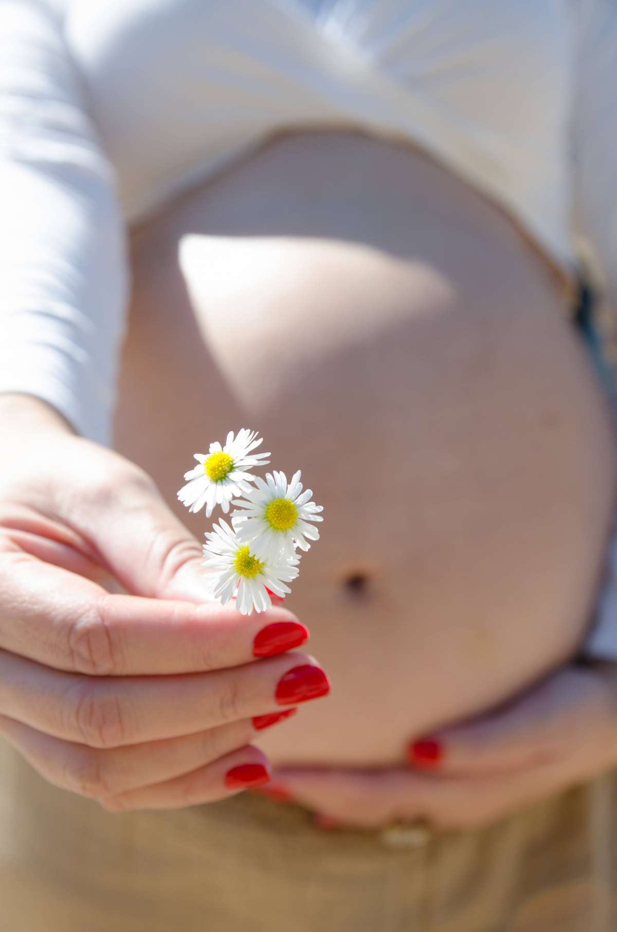 Alice Alves photography - Odivelas - Photography