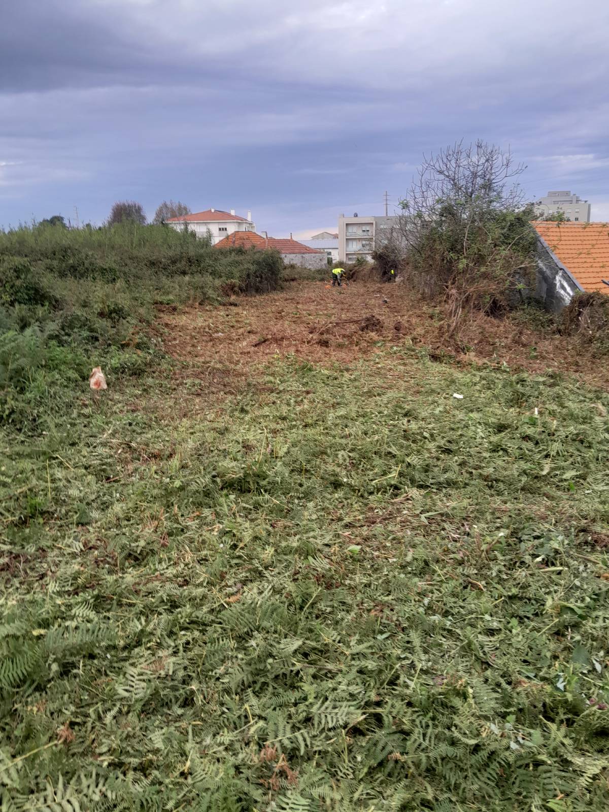 Tresa silva - Vila do Conde - Paisagismo Exterior