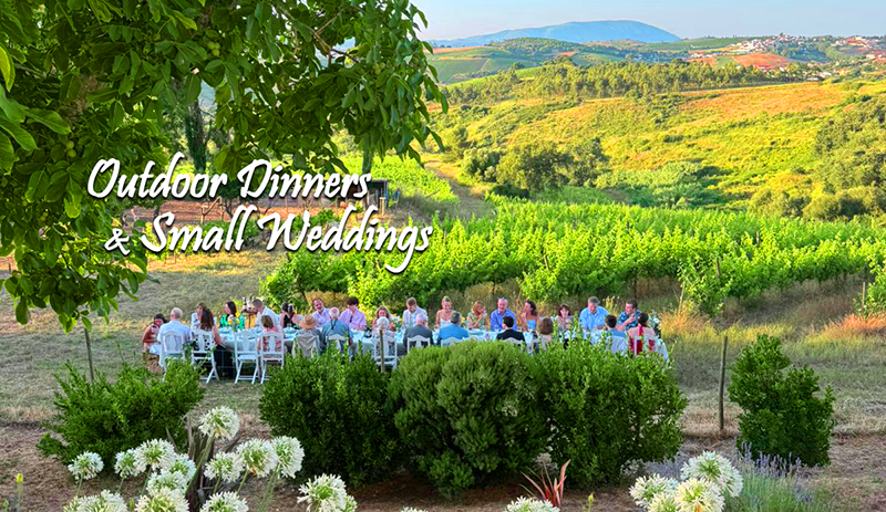 True Taste - Catering - The Meeting Kitchen - Torres Vedras - Catering - Events and Parties