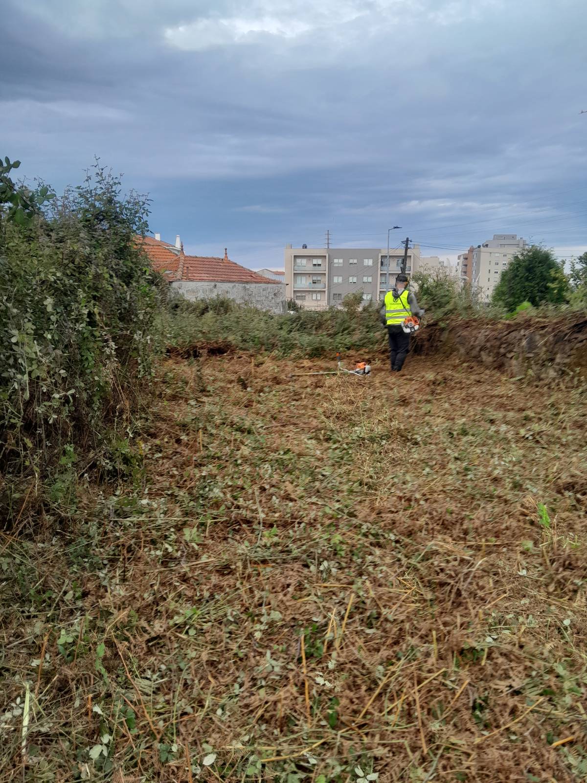 Tresa silva - Vila do Conde - Remoção de Tronco de Árvore