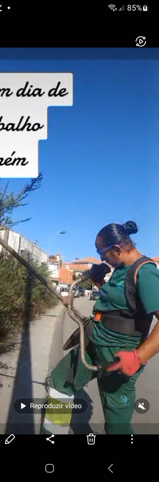 Tresa silva - Vila do Conde - Tratamento de Relvado