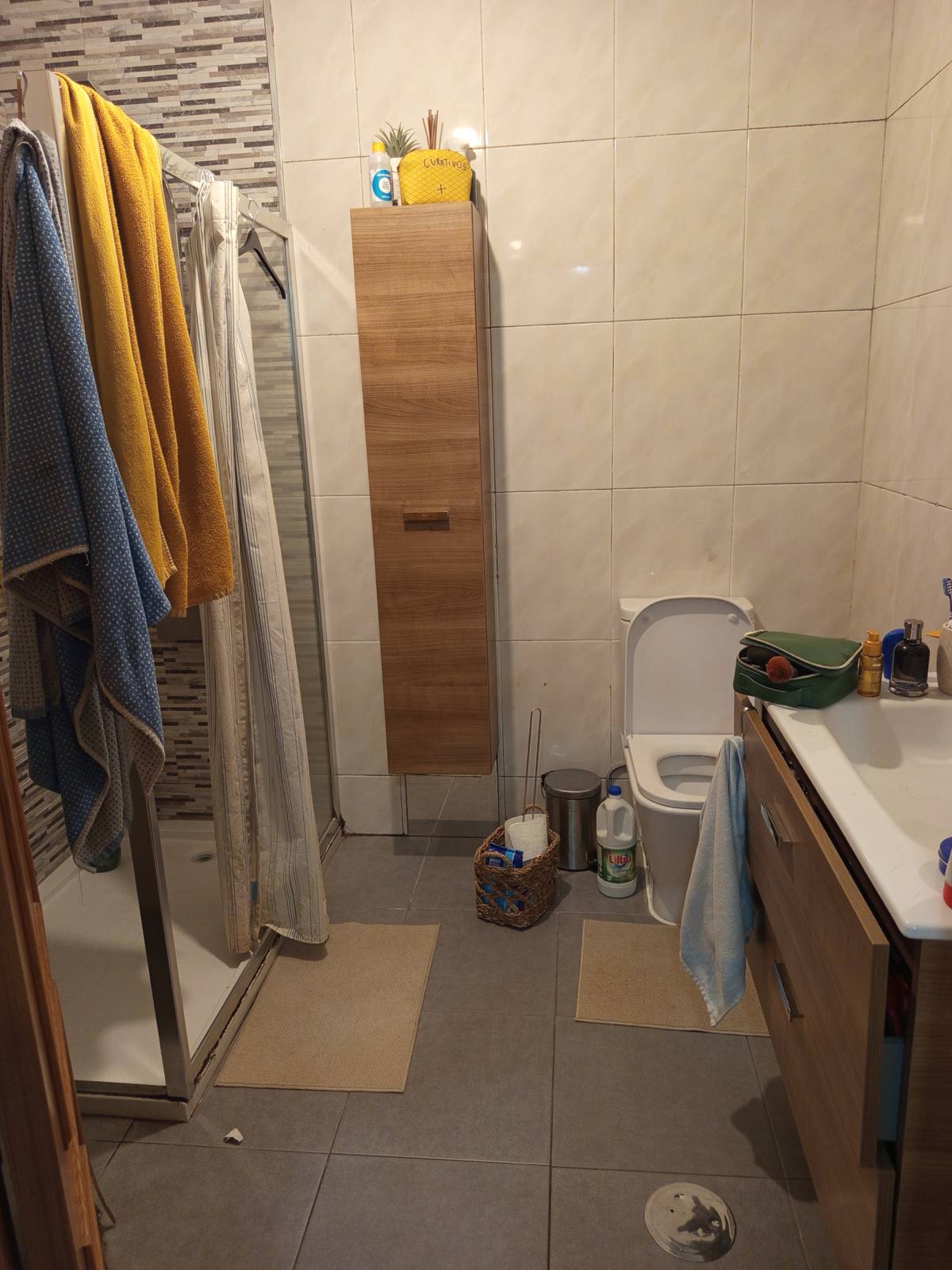 Cleaning Service - Paredes - Grundstücksreinigung
