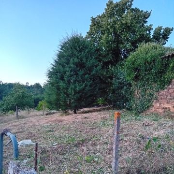 Tresa silva - Vila do Conde - Jardinagem e Relvados
